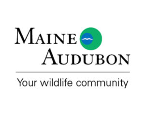Maine Audubon logo with a line and underneath "Your wildlife community."